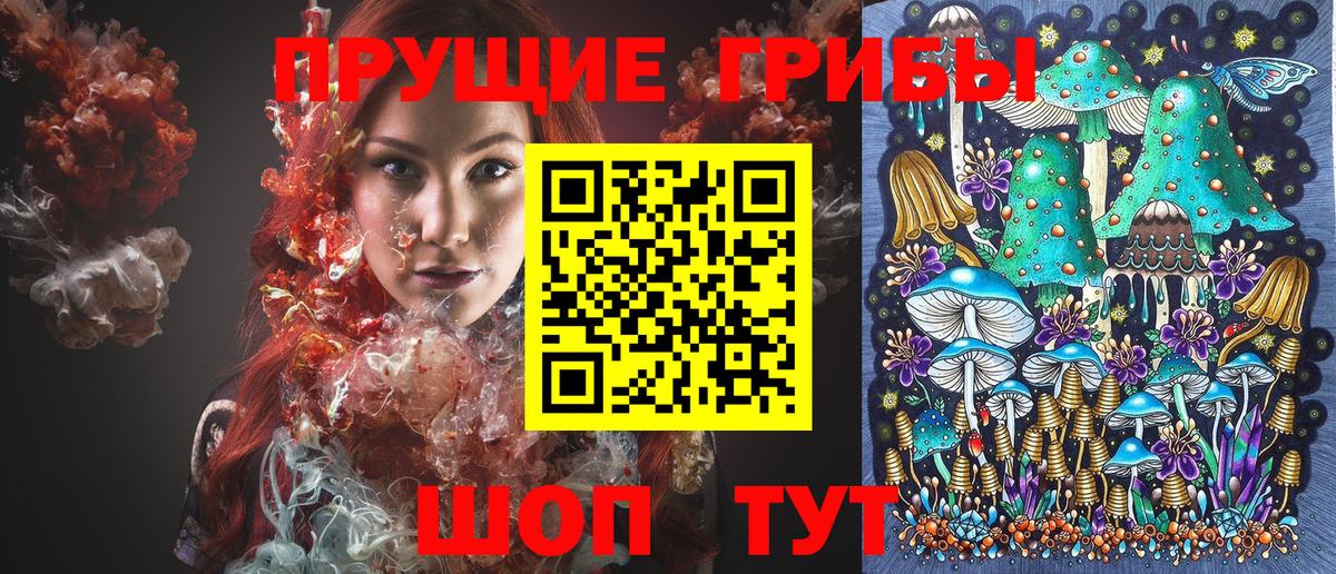Псилоцибиновые грибы MAGIC MUSHROOMS  Вход с VPN  где купить наркоту  Сызрань 