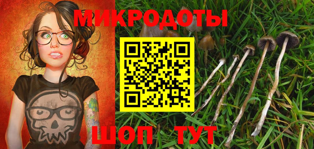 Псилоцибиновые грибы MAGIC MUSHROOMS Сызрань