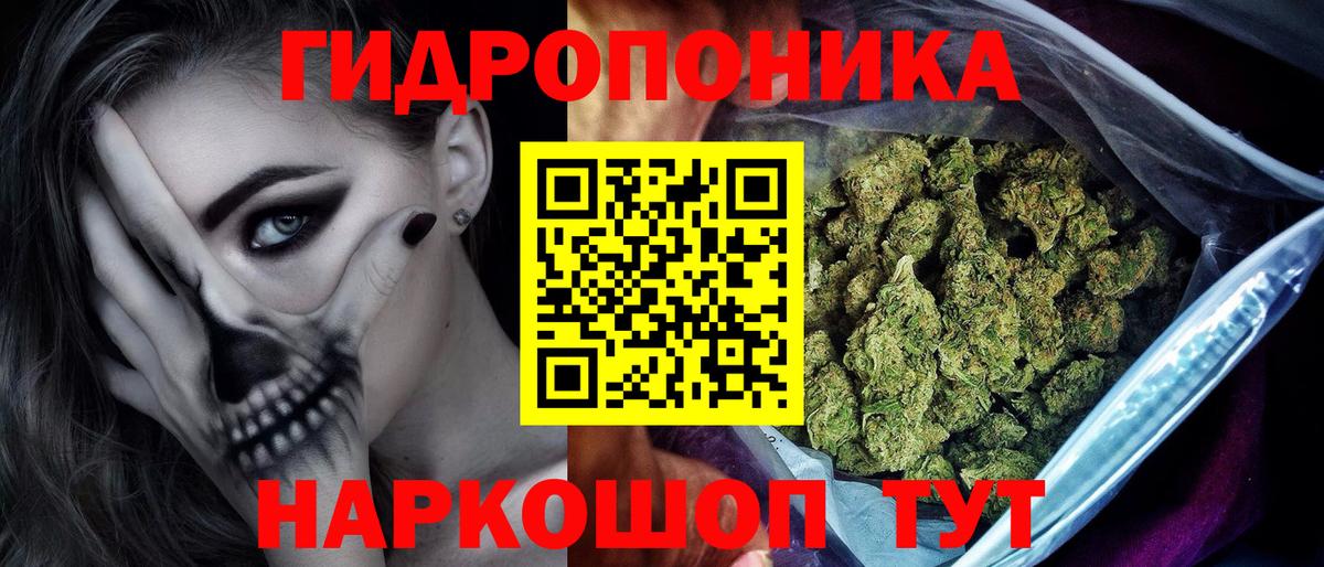 МАРИХУАНА сатива Сызрань